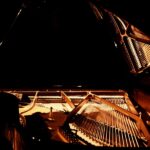 Cirex: Emotional intensity and electronic sound from Puerto Rico
